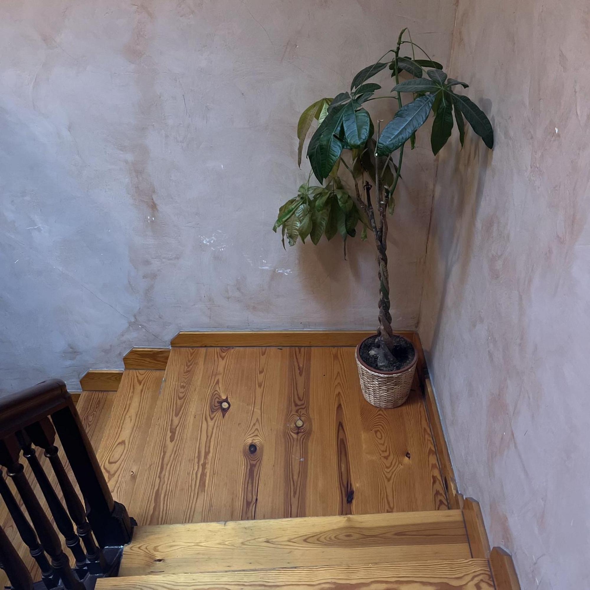 Calera 2 Apartment Burgos Ngoại thất bức ảnh